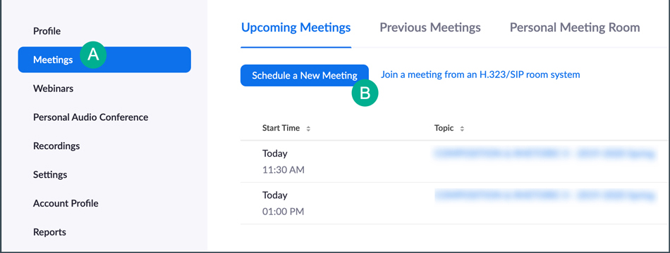 locate meetings and schedule new meeting from profile page