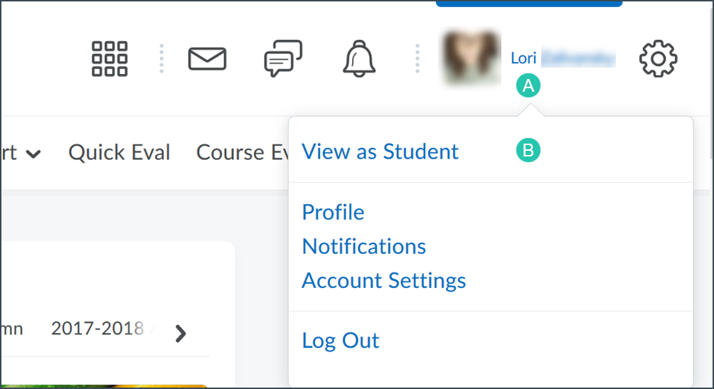 Select View as Student